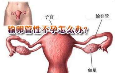 输卵管有积水还能怀孕吗?